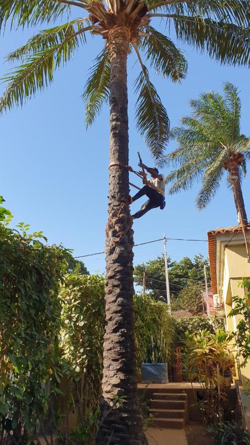 Casa Cacheu II Apartman Bissau Kültér fotó